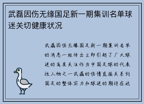 武磊因伤无缘国足新一期集训名单球迷关切健康状况 武磊因伤无缘国足新一期集训名单球迷关切健康状况